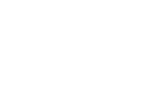 사업분야