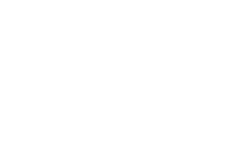 특허현황